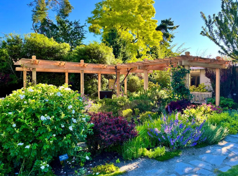 Bellevue Botanical Garden, United States